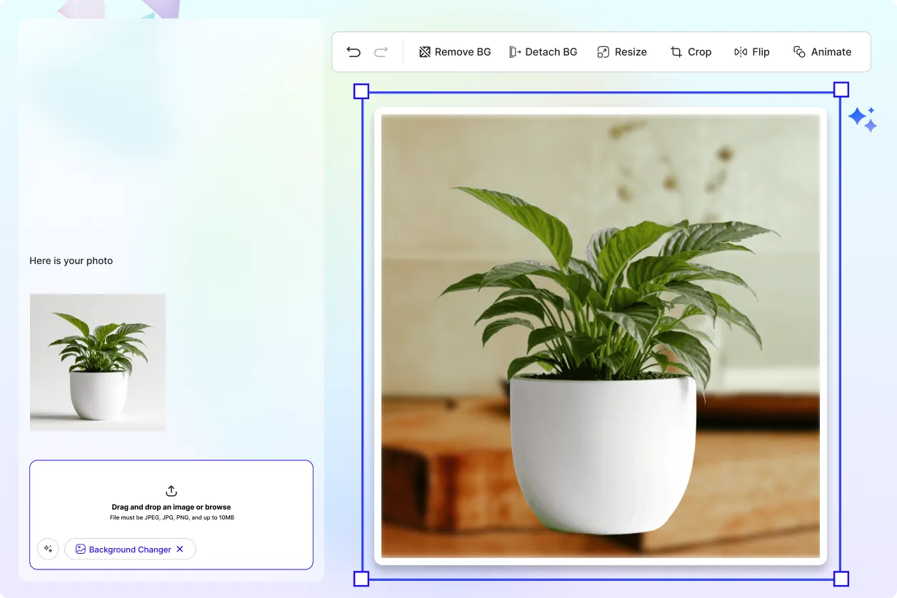 Free AI Photo Editor Background Changer, Free Online Background Remover